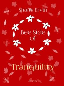 Bee Side of Tranquility