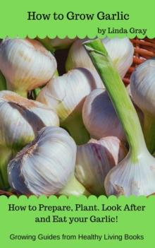 How to Grow Garlic