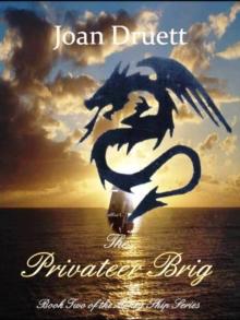 Privateer Brig