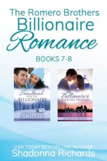 Romero Brothers (Billionaire Romance) Books 7-8