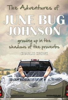 Adventures of June Bug Johnson: Growing Up in the Shadows of the Proverbs