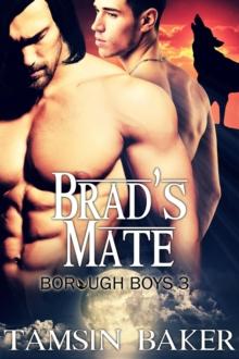 Brad's Mate - M/M Paranormal Romance