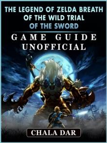 The Legend of Zelda Breath of The Wild Trial of the Sword Game Guide Unofficial