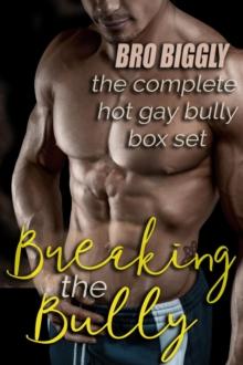 Breaking the Bully: The Complete Hot Gay Bully Box Set