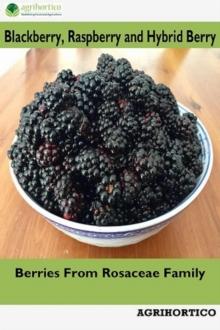 Blackberry, Raspberry and Hybrid Berry: Berries From Rosaceae Family