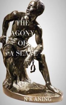 Agony of a Slave