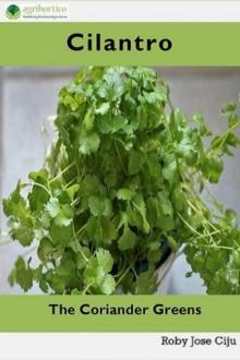 Cilantro: The Coriander Greens