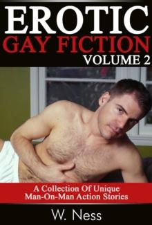 Erotic Gay Fiction Volume 2