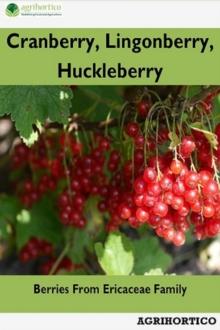 Cranberry, Lingonberry, Huckleberry: Berries From Ericaceae Family