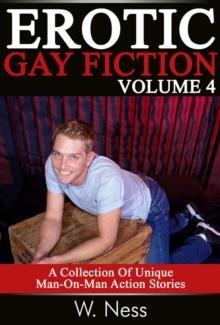 Erotic Gay Fiction Volume 4