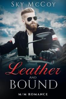 Leather and Bound : Leather and Chrome, #3