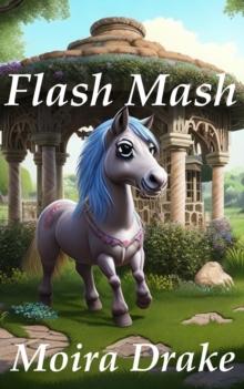 Flash Mash