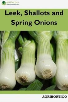 Leek, Shallots and Spring Onions