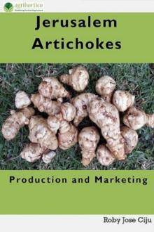 Jerusalem Artichokes: Production and Marketing