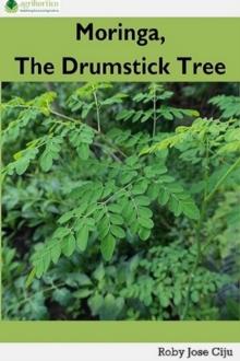 Moringa, The Drumstick Tree