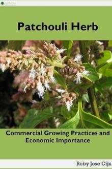 Patchouli Herb: Commercial Growing Practices and Economic Importance