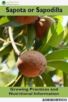 Sapota or Sapodilla: Growing Practices and Nutritional Information