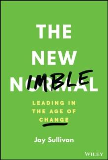 The New Nimble : Leading in the Age of Change