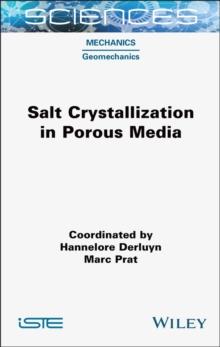 Salt Crystallization in Porous Media