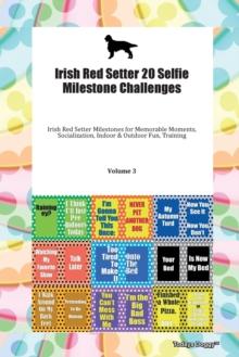 Irish Red Setter 20 Selfie Milestone Challenges Irish Red Setter Milestones for Memorable Moments, Socialization, Indoor & Outdoor Fun, Training Volume 3