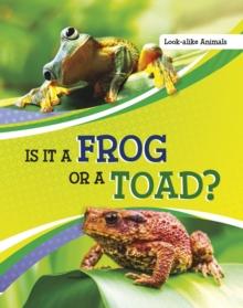 Is It a Frog or a Toad?