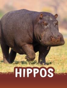 Hippos