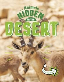 Animals Hidden in the Desert