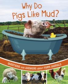 Why Do Pigs Like Mud? : Questions and Answers About Farm Animals