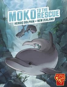 Moko to the Rescue : Heroic Dolphin of New Zealand