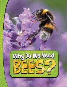 Why Do We Need Bees?