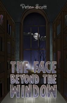 The Face Beyond the Window