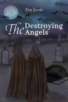 The  Destroying Angels