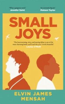 Small Joys : A Buzzfeed 'Amazing New Book You Need to Read ASAP'