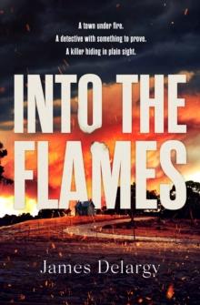 Into the Flames : The scorching new summer thriller