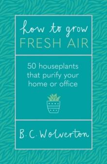 How To Grow Fresh Air : 50 Houseplants To Purify Your Home Or Office