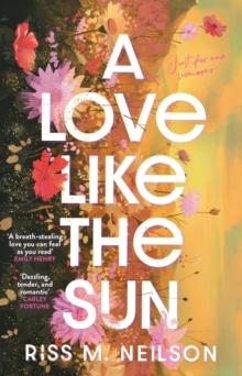 A Love Like the Sun : The tender and unforgettable romantic debut for 2024