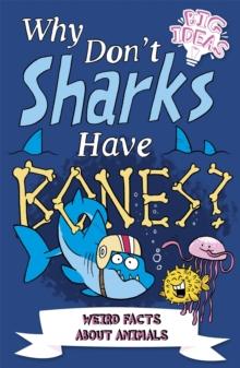 Why Don't Sharks Have Bones? : Questions and Answers About Sea Creatures