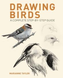 Drawing Birds : A Complete Step-by-Step Guide