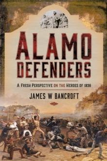 Alamo Defenders : A Fresh Perspective on the Heroes of 1836