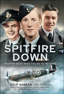 Spitfire Down : Fighter Boys Who Failed to Return