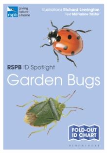 RSPB ID Spotlight - Garden Bugs