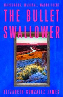 The Bullet Swallower