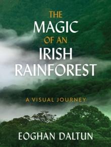 The Magic of an Irish Rainforest : A Visual Journey