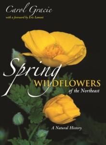 Spring Wildflowers of the Northeast : A Natural History