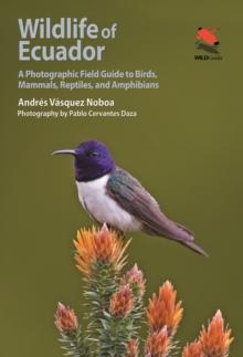 Wildlife of Ecuador : A Photographic Field Guide to Birds, Mammals, Reptiles, and Amphibians