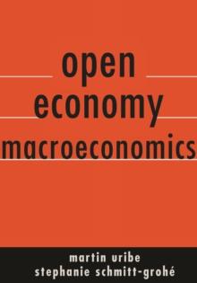 Open Economy Macroeconomics