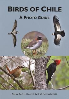 Birds of Chile : A Photo Guide