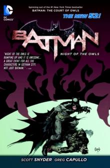 Batman: Night of the Owls (The New 52)