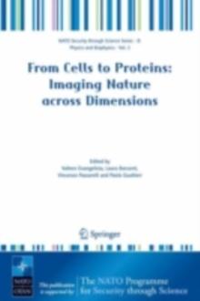 From Cells to Proteins: Imaging Nature across Dimensions : Proceedings of the NATO Advanced Study Institute, held in Pisa, Italy, 12-23 September 2004