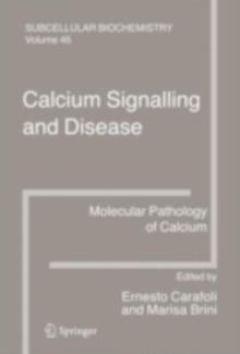 Calcium Signalling and Disease : Molecular pathology of calcium